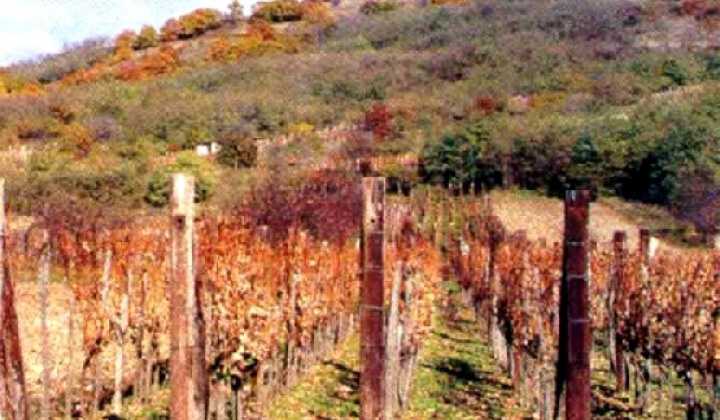 Zobraziť fotografiu